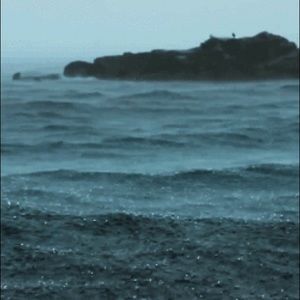 Meet your Posher, Sandy